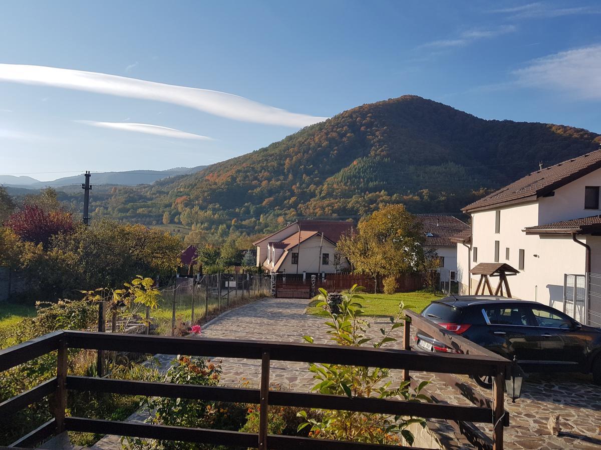 La Bunica Villa Cisnădioara Exterior foto